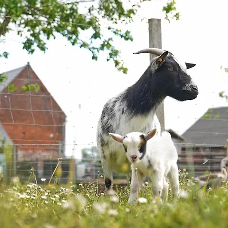 La Ferme Du Parc - Le Fournil *
